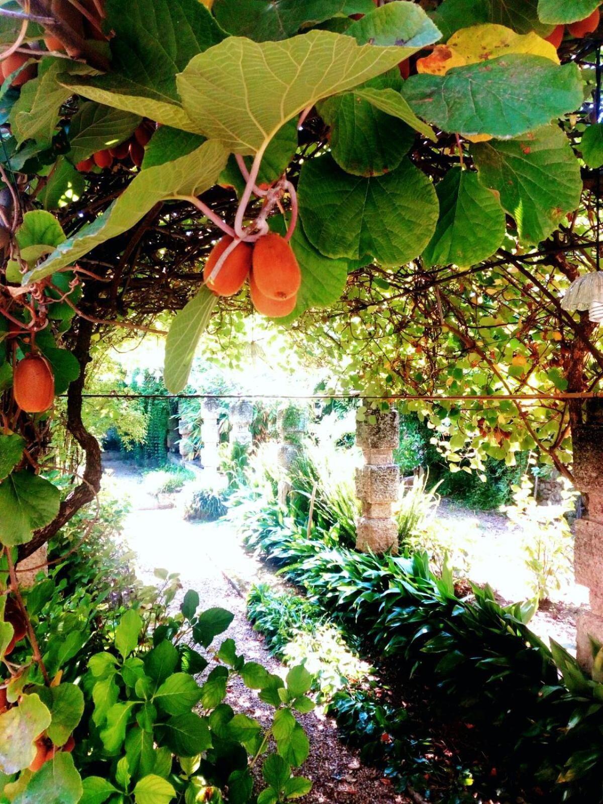 Oddi21 B&B Albenga Luaran gambar
